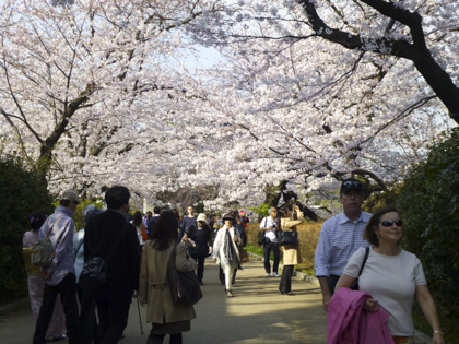 桜_21.JPG