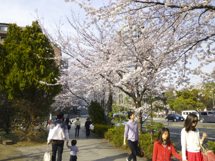 桜_28.JPG