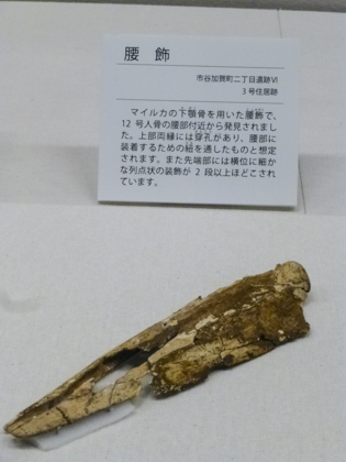 縄文人_6.JPG
