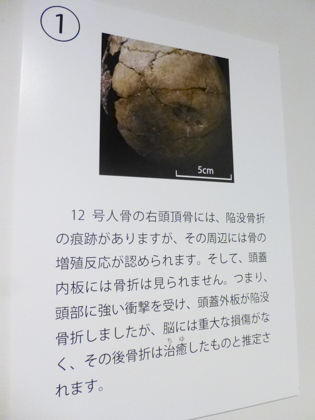 縄文人_13.JPG