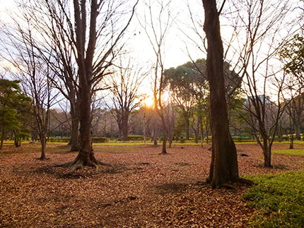 北の丸公園