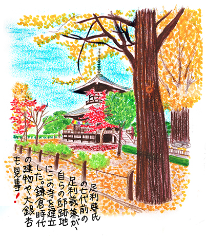 足利11_鑁阿寺境内イラスト.jpg