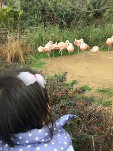 ノンスリップヘアクリップ