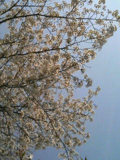 090402_1340~01.JPG