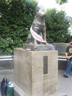 100703_1146~01.jpg