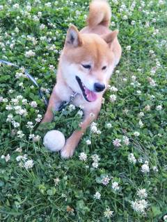 140508_1830~01.jpg