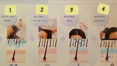 スカルプケア シャンプー 大切 方法