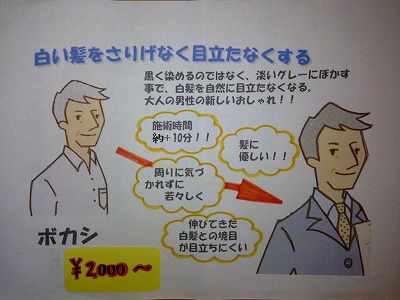 白髪ぼかし カラートリートメント