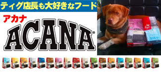 acana TIG