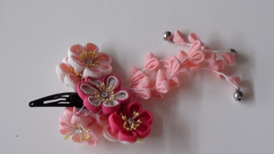 DSC08073.JPG
