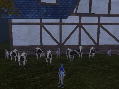 ScreenShot0019 (400x300).jpg