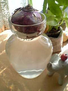20061021_235453.jpg