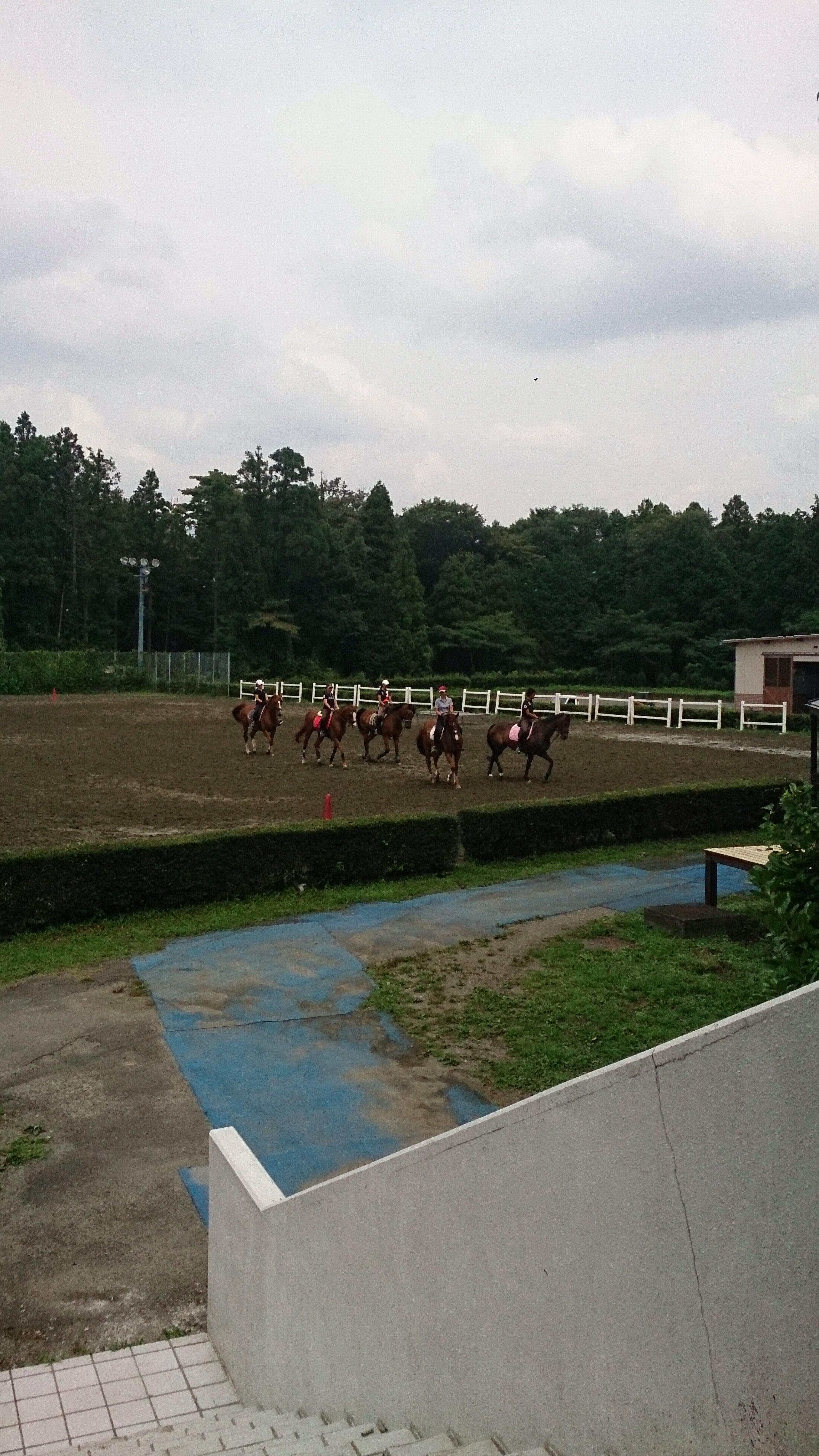 DSC_0008~01.jpg