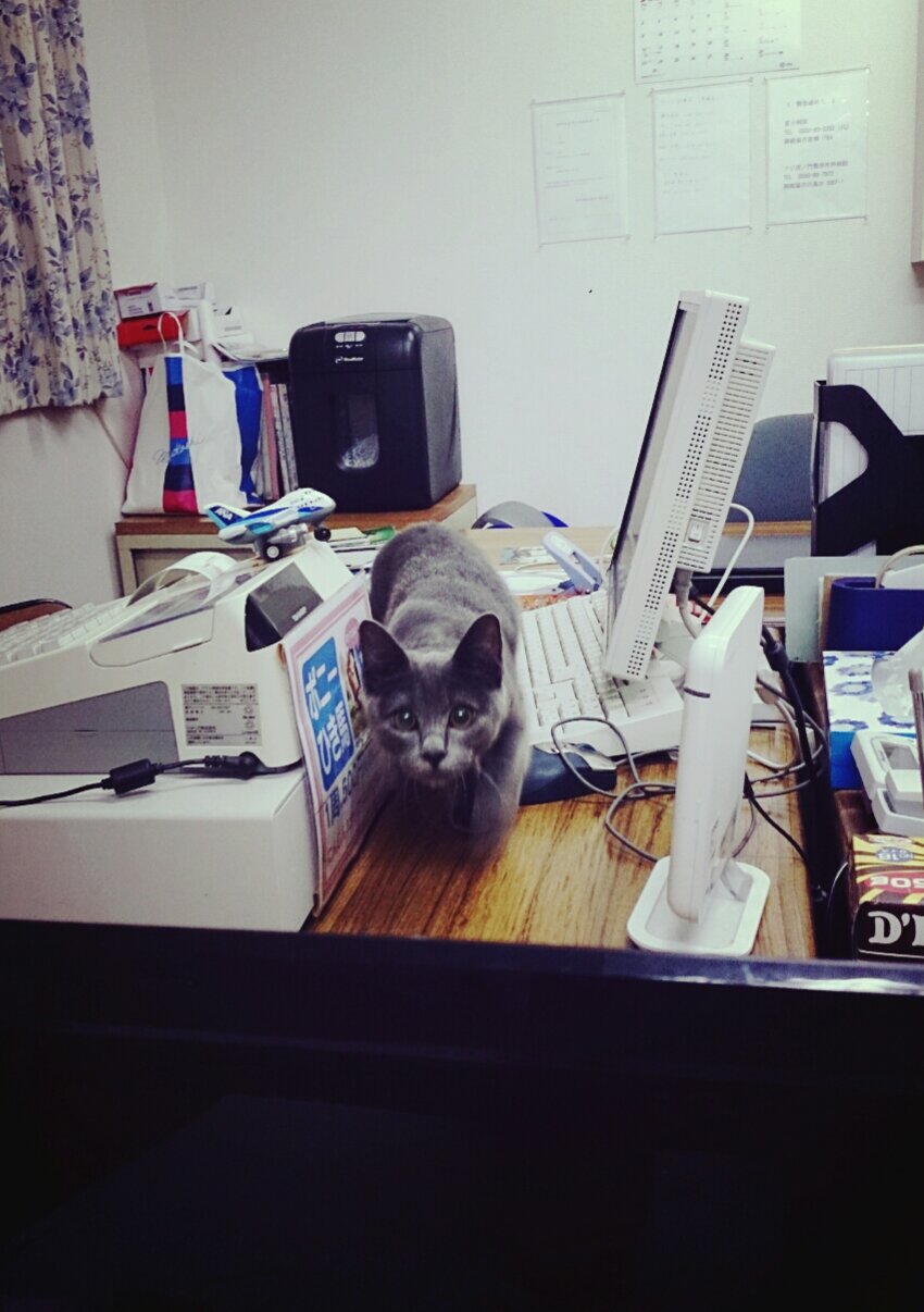 2013-09-07-18-17-35_deco~01.jpg