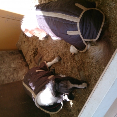 2014-02-26-15-21-41_photo.jpg