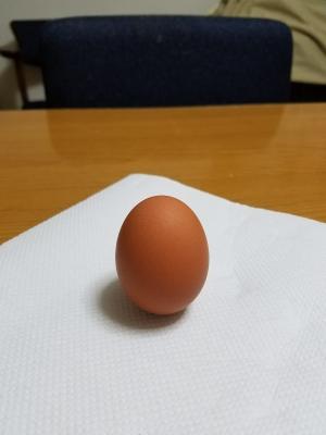 20170116_212845.jpg