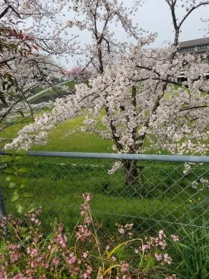 20170410_090412.jpg