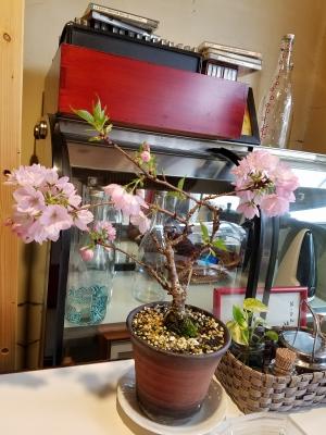 20170409_142812.jpg