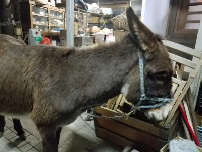 20180224_184238.jpg