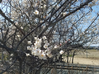 20180306_124932.jpg