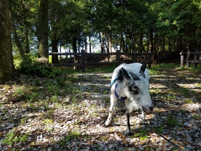 20180524_153413.jpg
