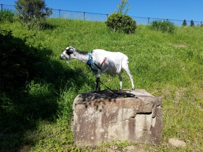 20180524_154737.jpg