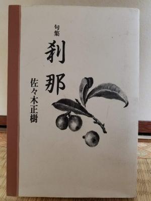 20180626_200757.jpg