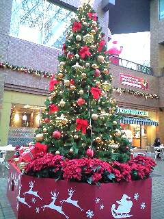 東京クリスマスイルミネーション2007@御茶ノ水サンクレール
