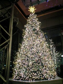 東京クリスマスイルミネーション2007@丸ビルクリスマスツリー