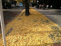 更新の本当の意味とは?