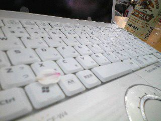 レッツノートと桜