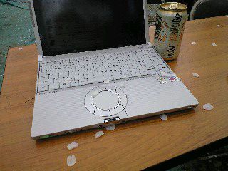 桜の花びらだらけ