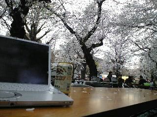 花見会場と桜とビールとレッツノート