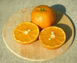 tankan_cut