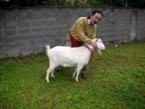 ringo_kamezo_1