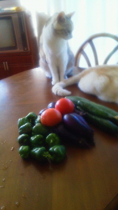 201008180749000.jpg