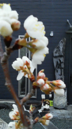 201303131644000.jpg