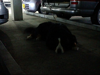 20080605120929.jpg