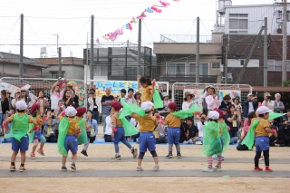 IMG_6803.JPG