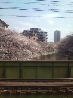 20080325120934.jpg