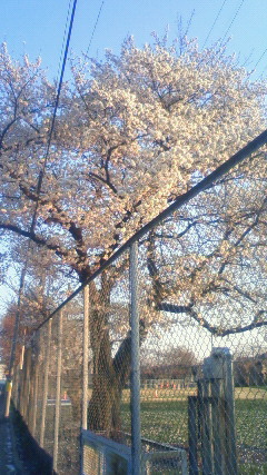 200903301710000.jpg