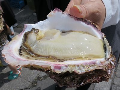 岩ガキ2