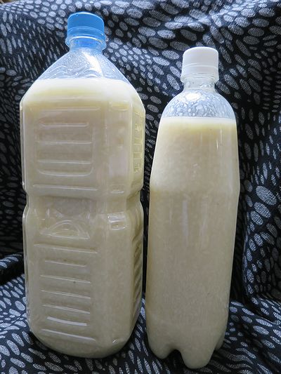 ´Å¼ò1