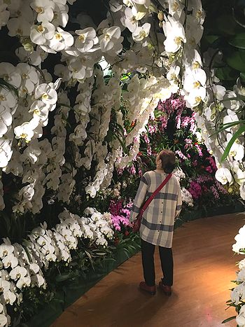 世界のらん展
