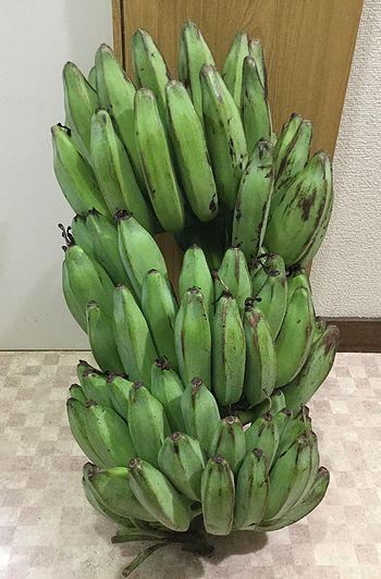 青バナナ1