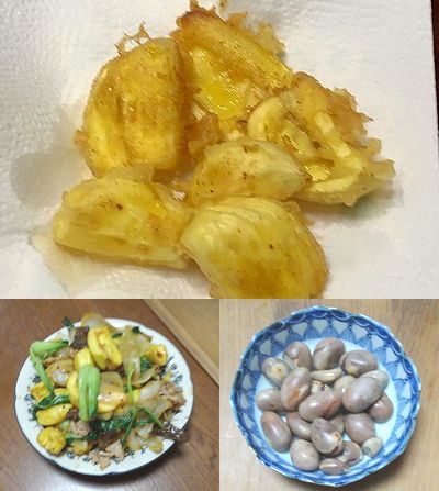 パラミツ3