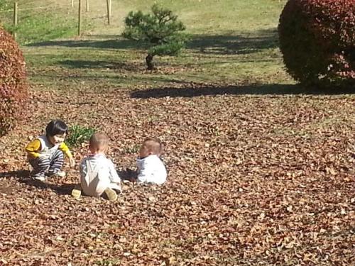 morinoyoutien4_20131115