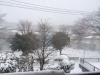 自宅前の雪景色