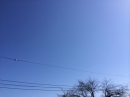 快晴
