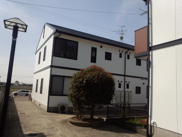 DSC_1335.jpg